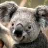 Verified reviewer profile picture